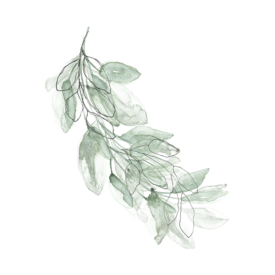 ElegantlyEllen-Sage%404x-8_edited.png