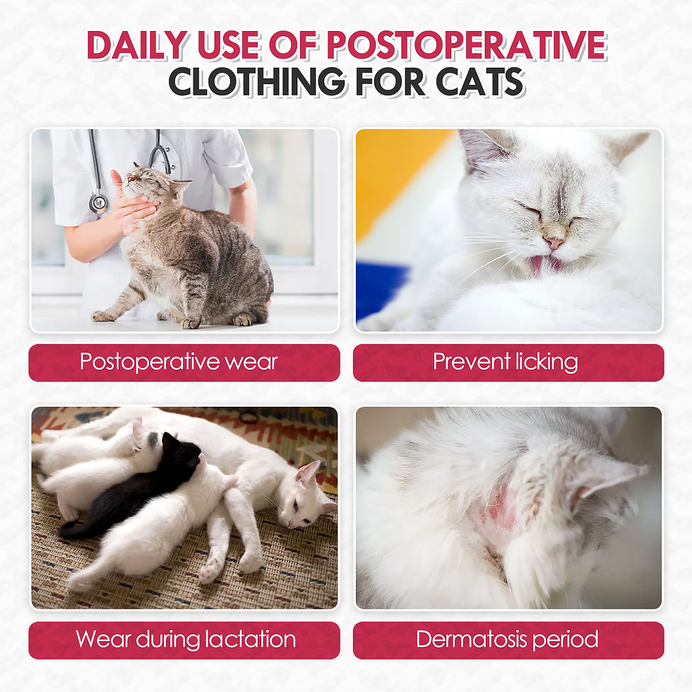 Miniatura: Traje de recuperación transpirable para gatos (postoperatorio anti-lamido)