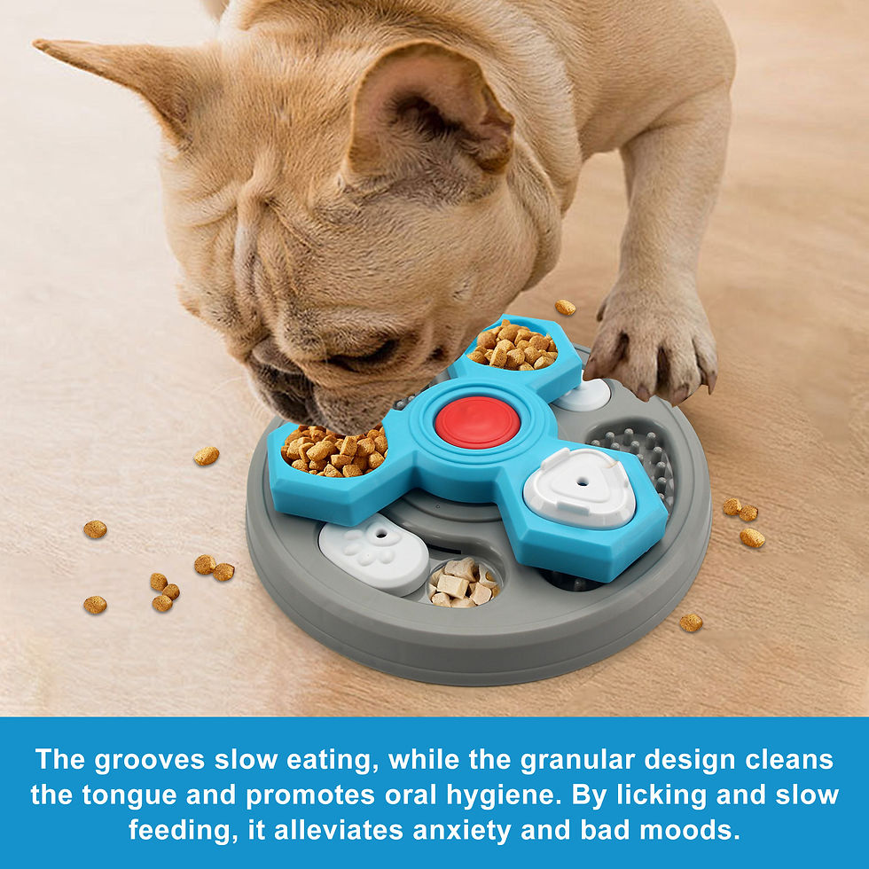 Miniatura: Plato interactivo para perros y gatos – Alimentación lenta multinivel