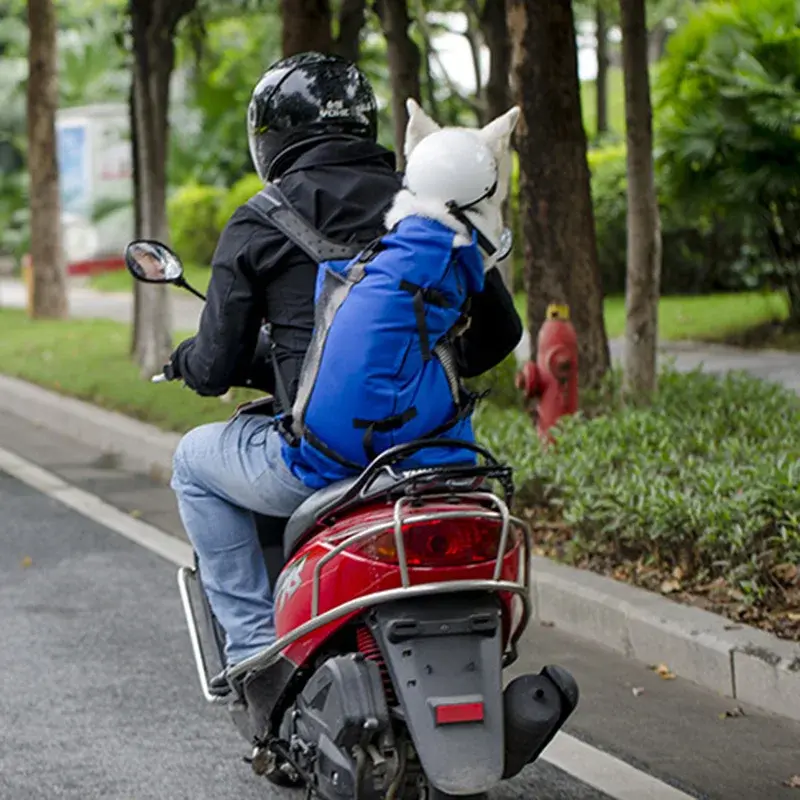 Miniatura: Mochila transportadora reforzada para perros y gatos (resistente y transpirable)