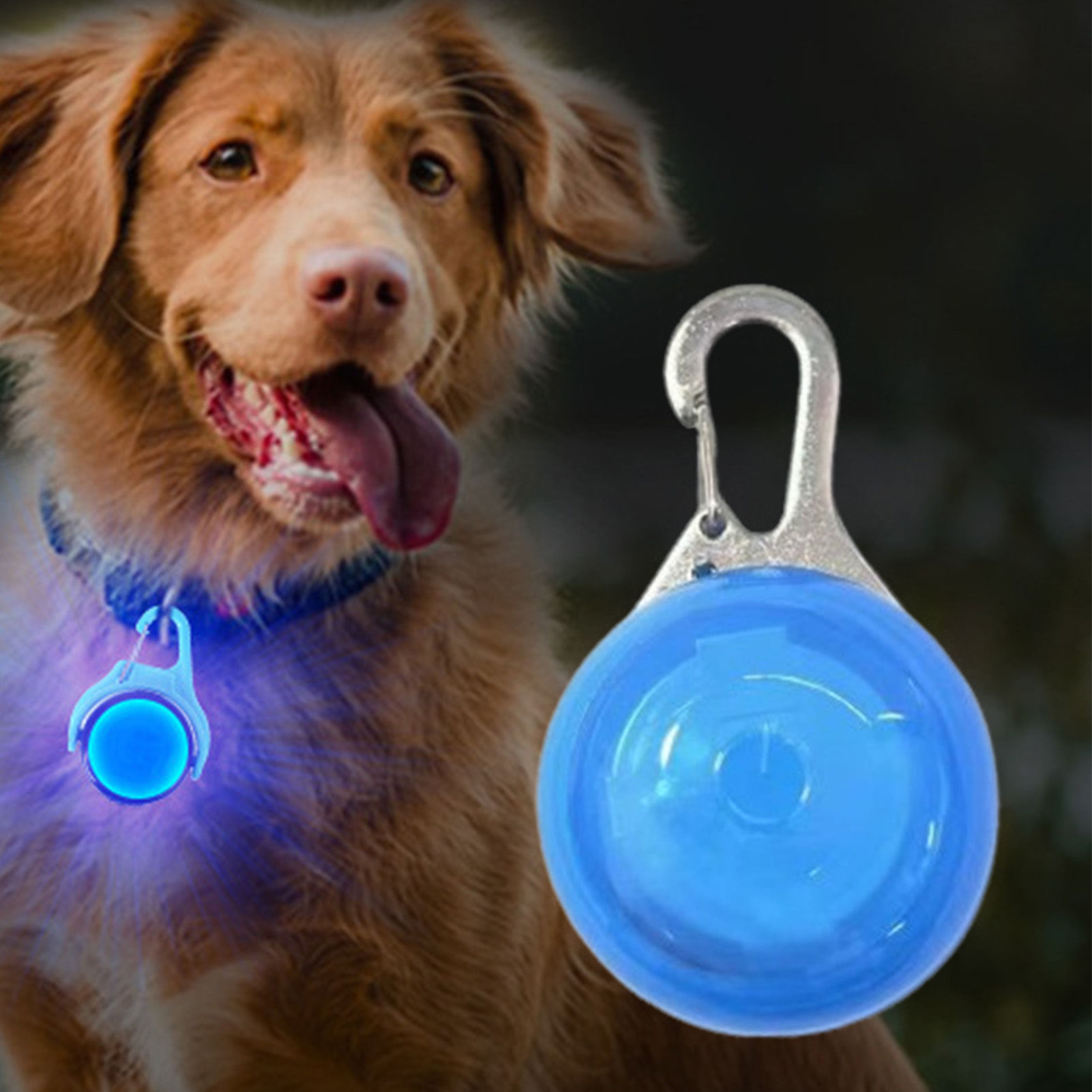 Luz LED para collar de perro – colgante de seguridad nocturna