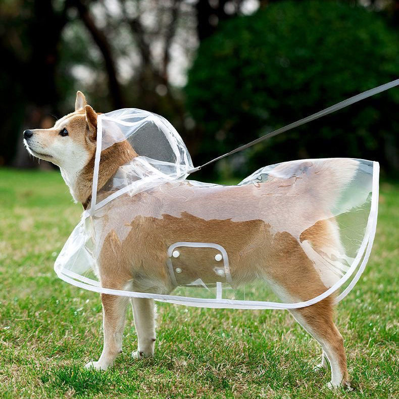 Impermeable transparente para perros con capucha