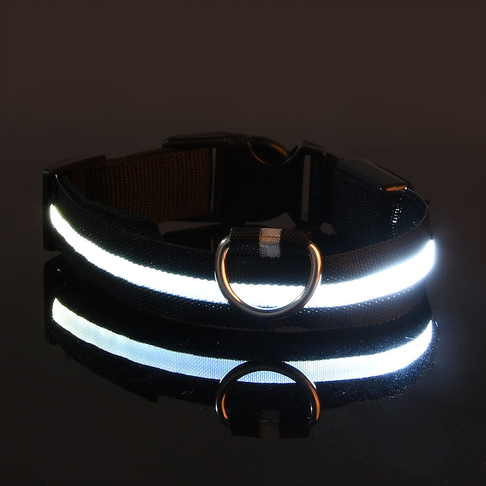 Miniaturbild: Collar Luminoso para Perros con Luz LED — Nylon Resistente | Seguridad Nocturna