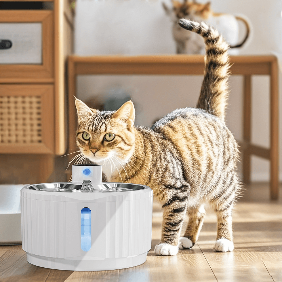 Miniaturbild: Fuente automática inalámbrica para gatos con batería 4000 mAh