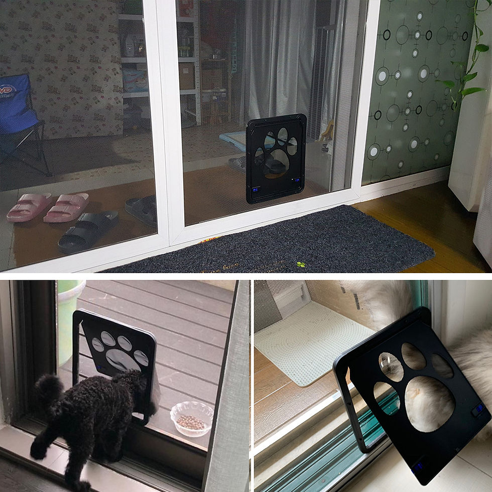 Miniaturbild: Puerta magnética para gatos