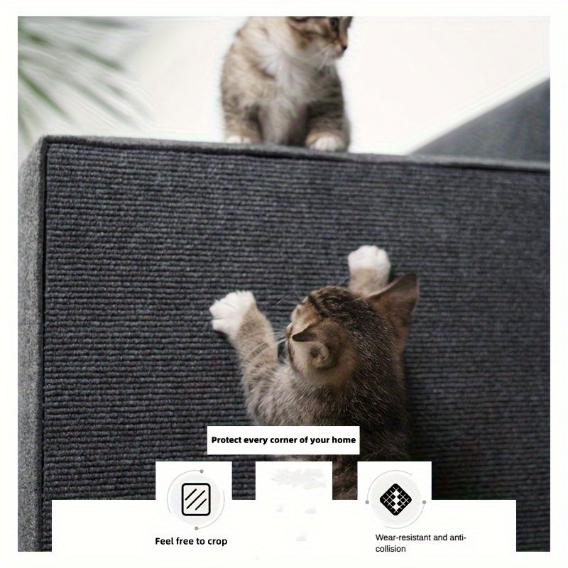 Miniaturbild: Rascador de pared para gatos, antideslizante y autoadhesivo.