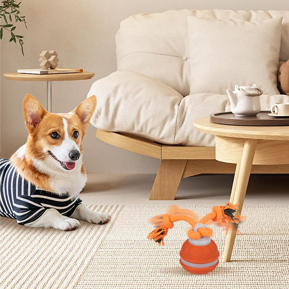 Miniatura: Pelota inteligente automática para perros – recargable y anti estrés