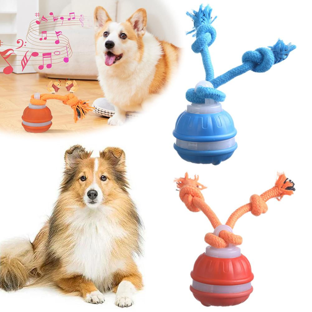 Pelota inteligente automática para perros – recargable y anti estrés