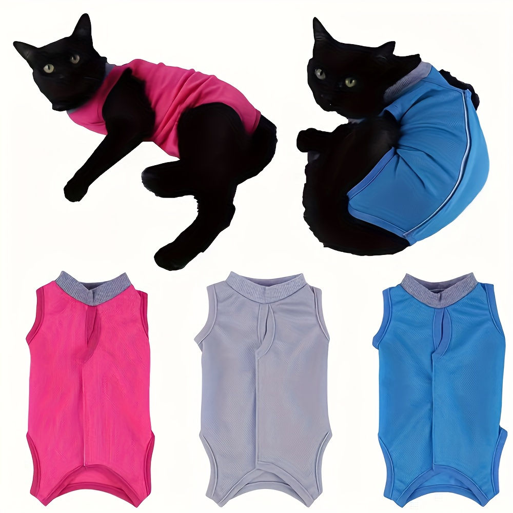 Chaleco básico para gatos (ligero y cómodo)