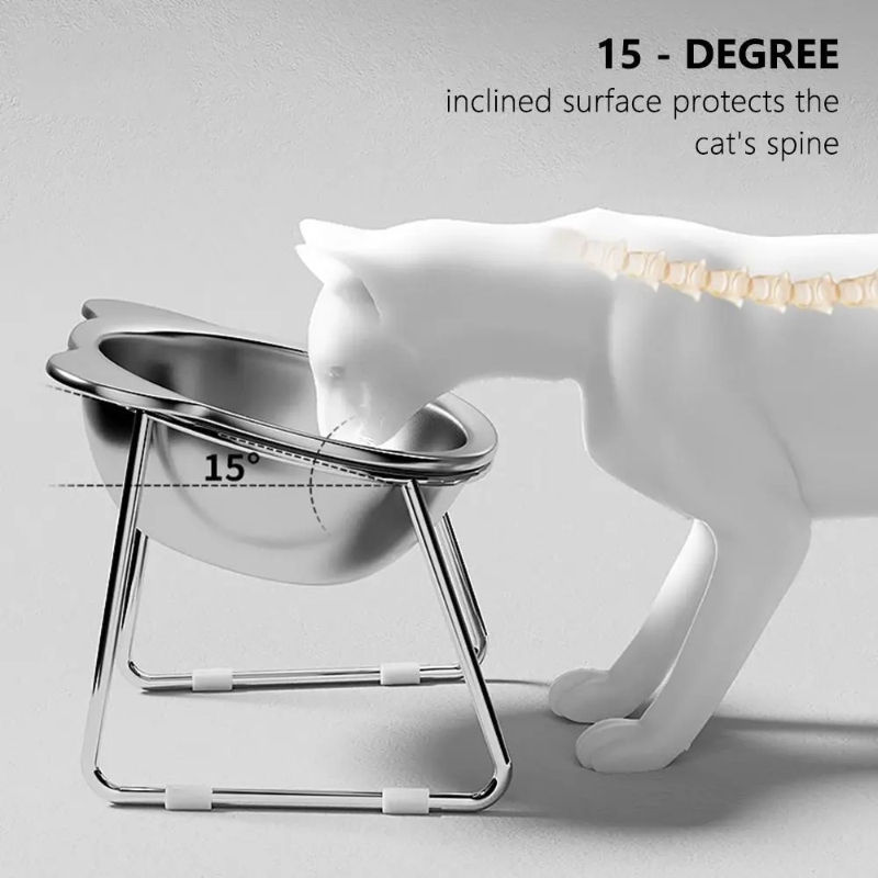 Cuenco elevado de acero inoxidable para gatos