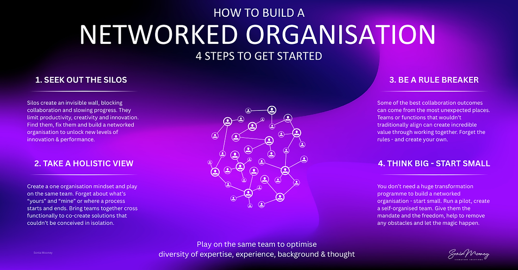 A Networked Organisation Infographic (1).png
