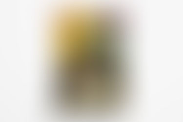 1 jaar WOLk: Open Dag 1 juli