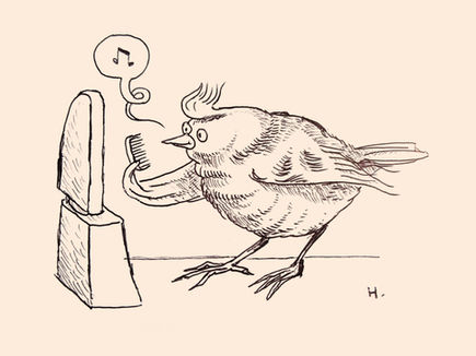 Birdspotting: Sugar cubes