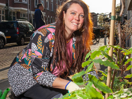 From living to working on Wolphaertstraat