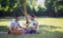 Picinic in the Park