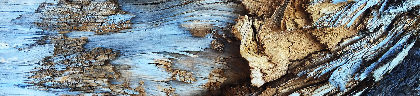 Surface en bois texturée