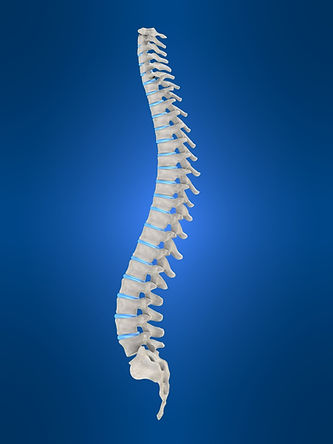 Spinal_cord_injury.jpeg