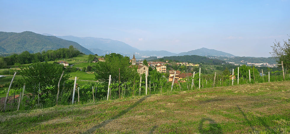 sfondo2-2500.jpg