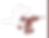 Immagine 2025-12-31 215240_edited.png