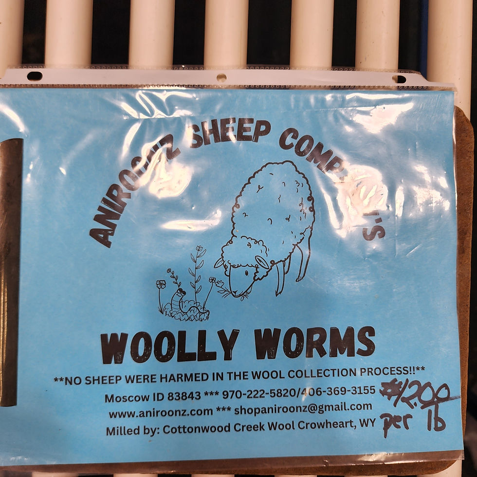 Thumbnail: Wooly Worms