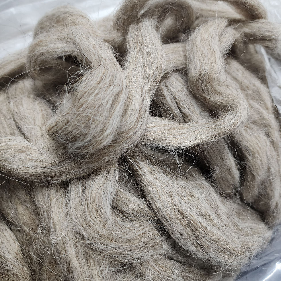 Thumbnail: Chestnut Karakul