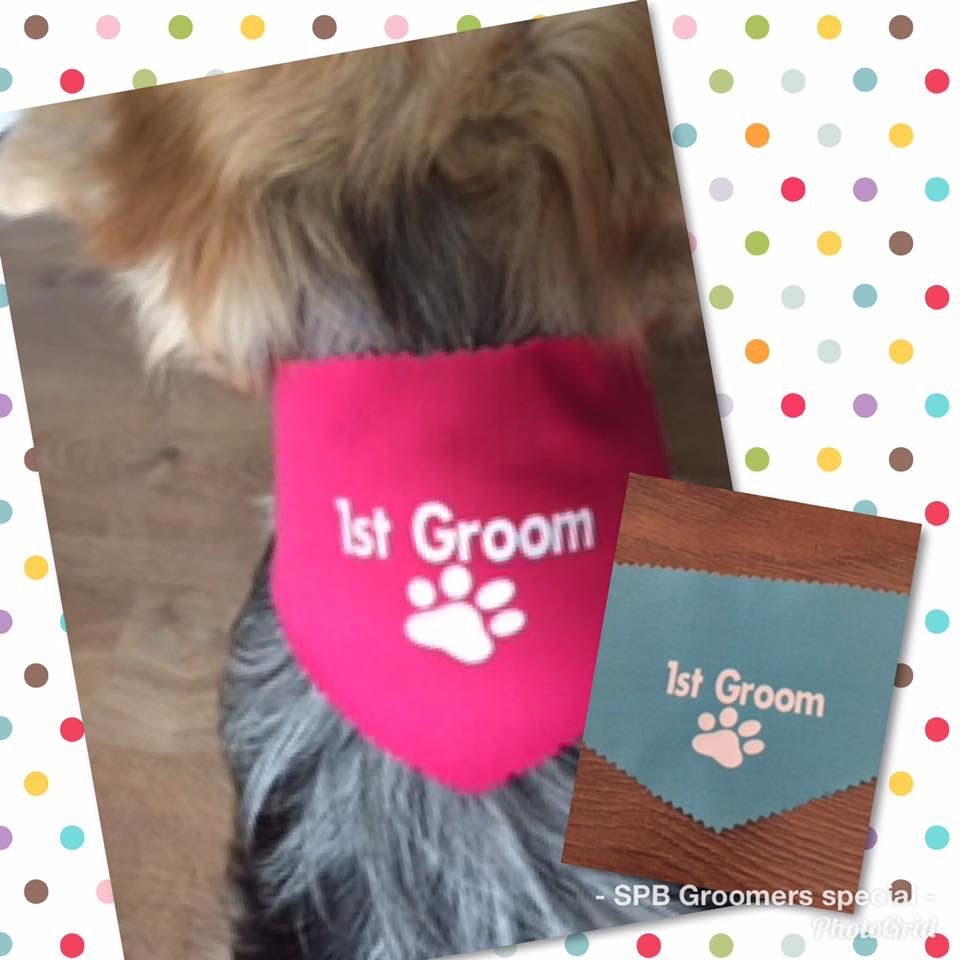 Thumbnail: 1st Groom Basic Necktie Bandanas