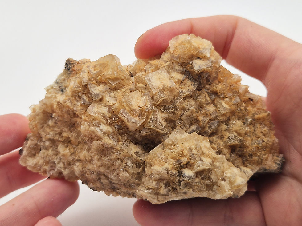 Fluorite, les-deux-Sèvres 10.9cm