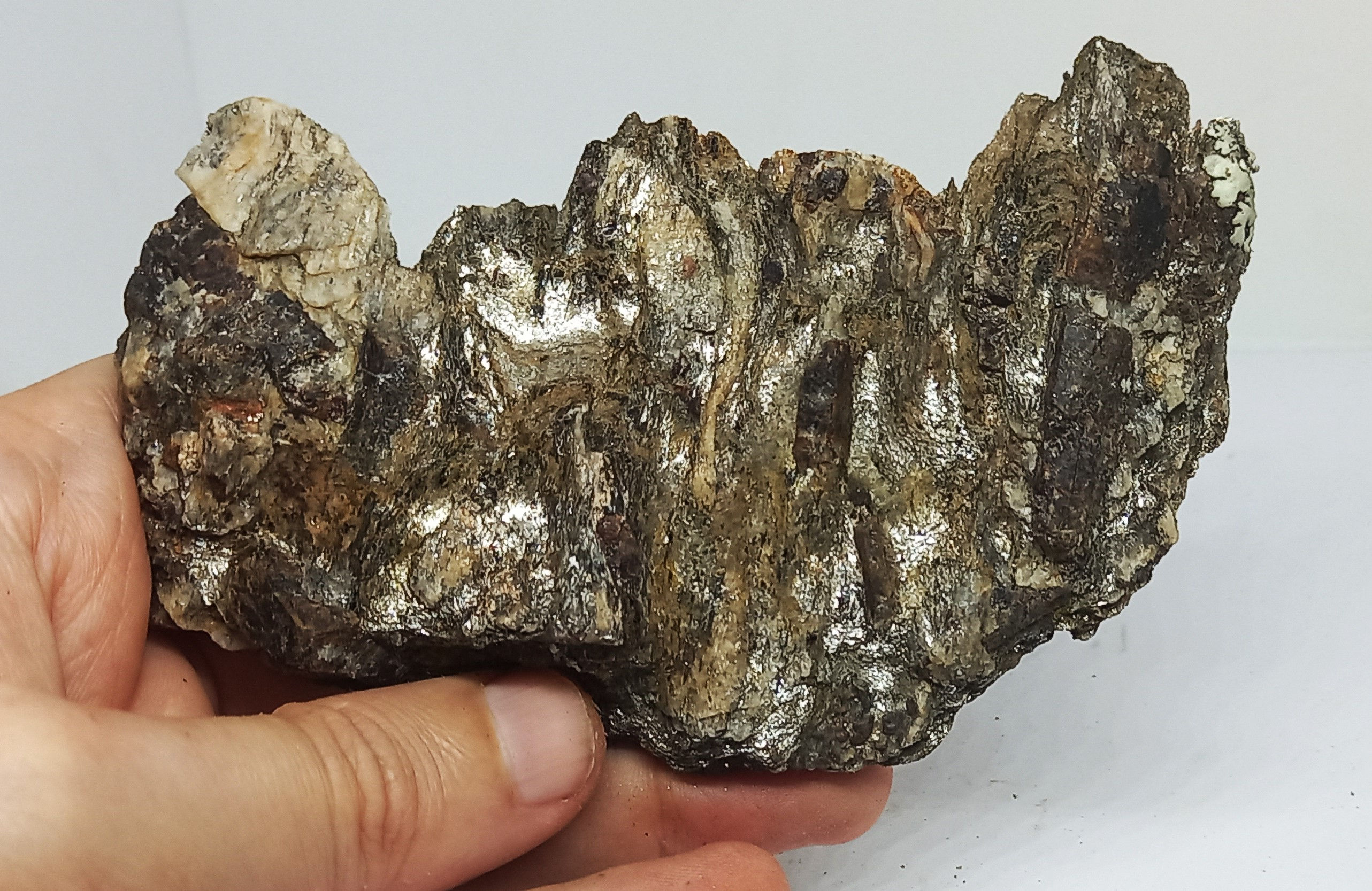 Staurotide, Var ( 83 ) 10.8cm