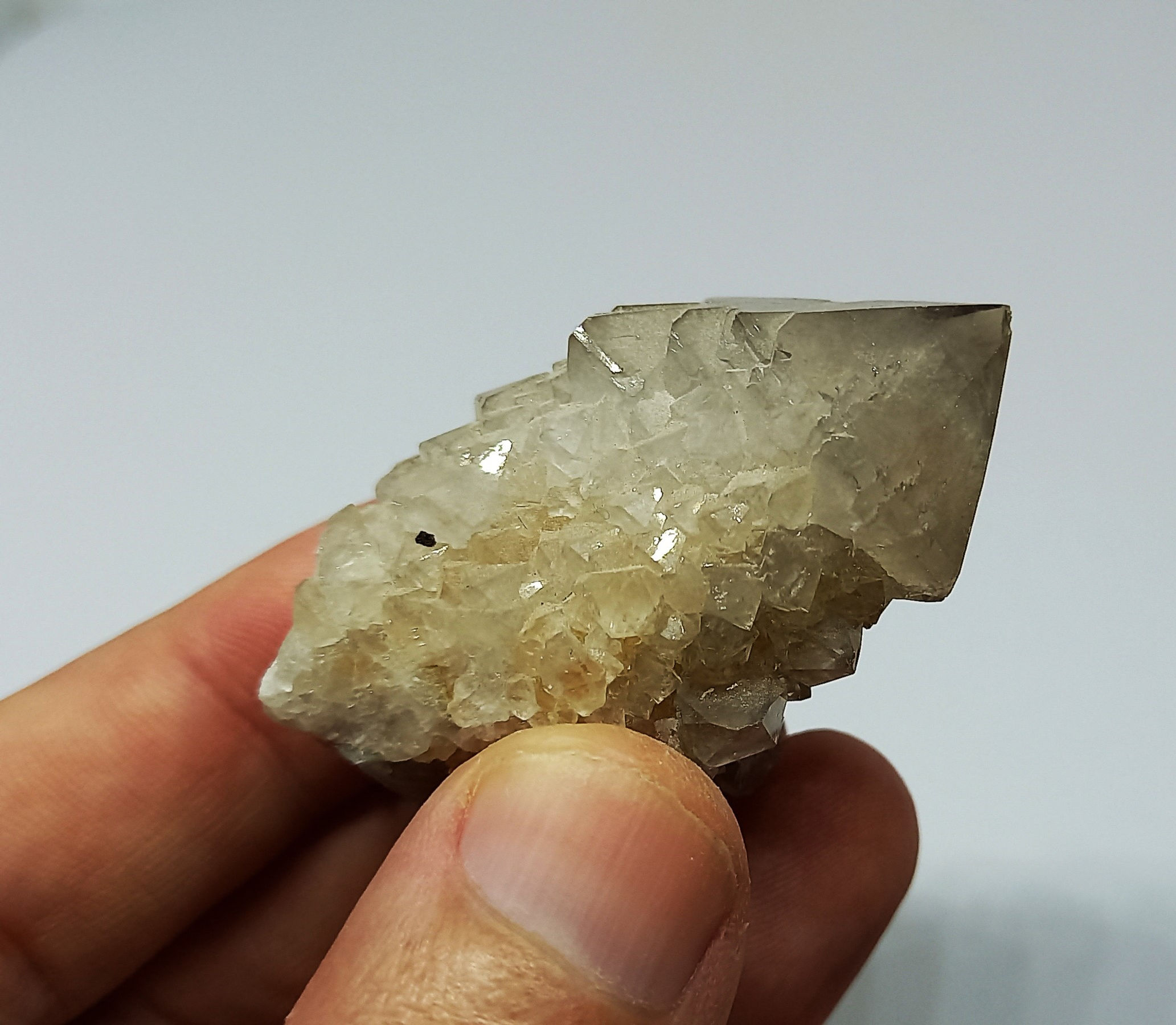 Quartz fumé Cactus 4.6cm