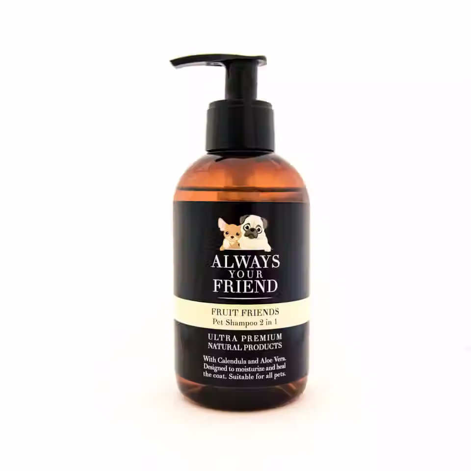 Always Your Friend Fruit n Friend Every Day Shampoo 2 in 1 - 250ml