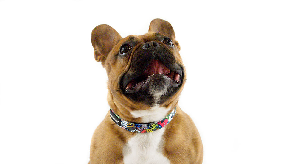 Thumbnail: Sticker Bomb Collar