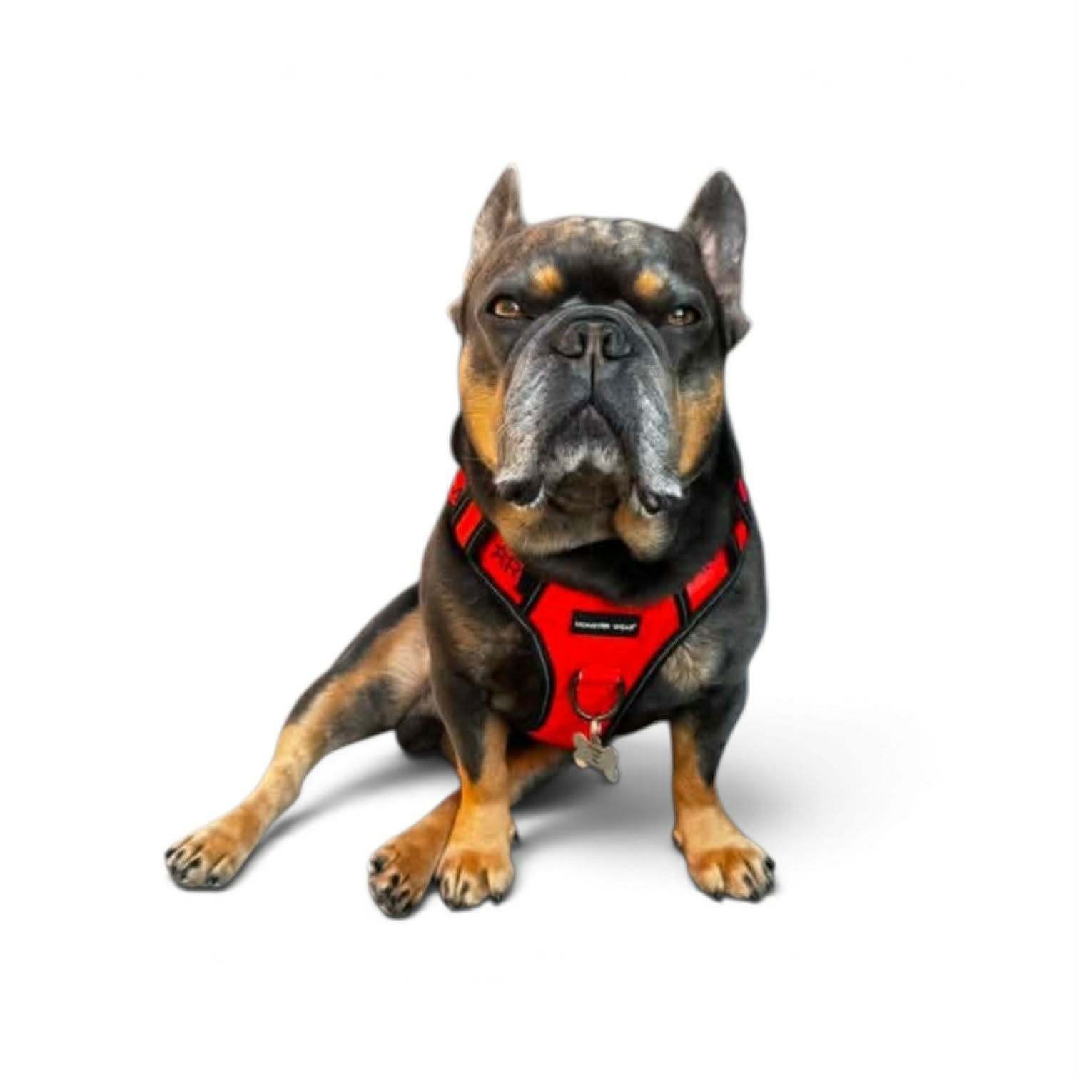 Red Block Harness