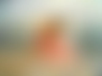 Die Verbindung mit einer Dualseele