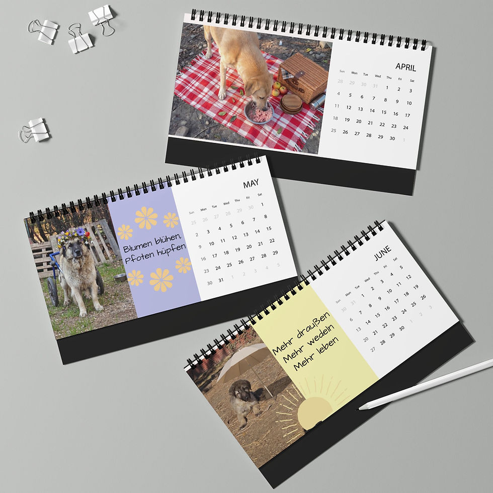 Miniaturbild: Kalender 2027 - Tierschutzverein - Spende