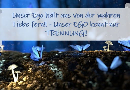 Unser Ego hält uns von der wahren Liebe fern!! Unser EGO kennt nur TRENNUNG!!