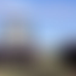 ClearSpace Group Helps World Animal Protection to Prepare Their Offices