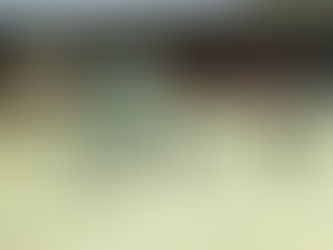 1.2.3年 スポ少城南ブロックフットサル大会