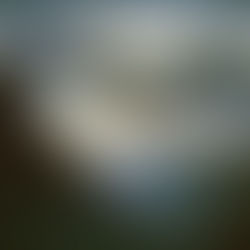 Thursday Rocks! 13/2/25