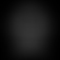 Tiger In Your Tank 16/5/21