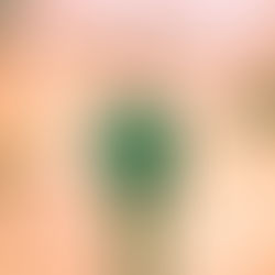 Tuesday Rocks! 7/5/24