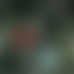 Take Your Medicine 14/5/18