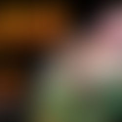 Chloe Josephine At TTNMC Tonight 17/3/26  