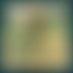 Monday Rocks! 22/9/25