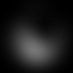 Bottle Echoes Of Life 4/3/26