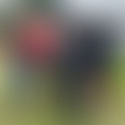 Preacher Stone/Darnell Cole MOS Interviews 1/8/24