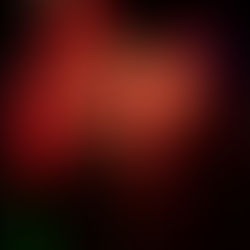 Hell, Whiskey & Bullets Photo Gallery 18/2/18