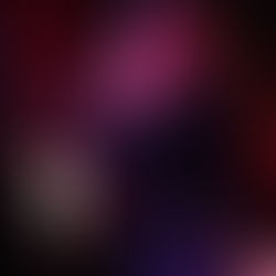 Will Wilde Photo Gallery 6/3/25