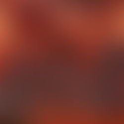 Beltfed Weapon Interview 7/6/23