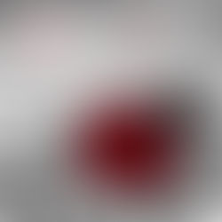 Rachael's Revelation 5/4/22