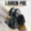 Self Made Larkin Poe 29/3/20